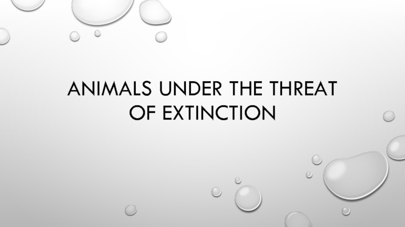 Презентация Животные под угрозой вымирания