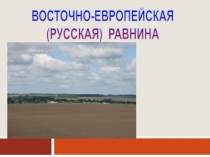 Презентация к уроку географии 8 класс Русская равнина