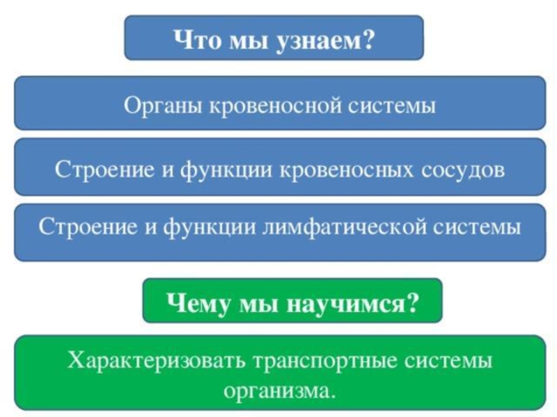 Биология 8 класс транспортные системы организма презентация