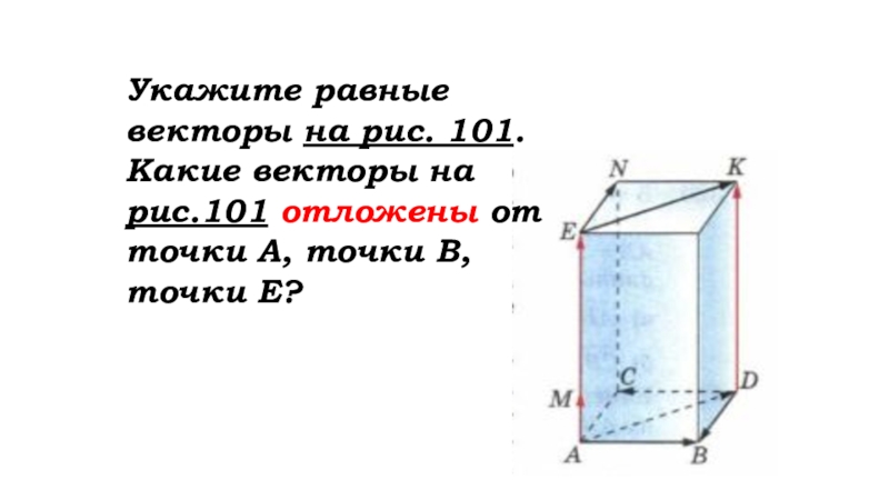 Укажите равные векторы