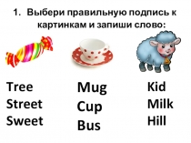 Контрольная работа по английскому языку. 2 класс. Rainbow English.