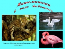 Презентация по математике: Математика в мире животных (5 класс)