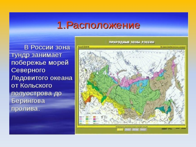 В какой зоне расположена самара. Географическое положение тундры в России карта. Тундра на карте природных зон.
