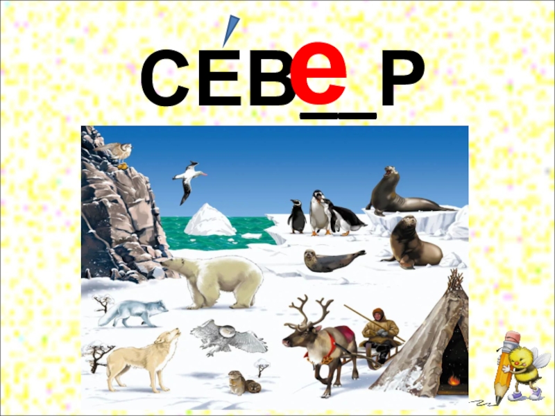 Сей севе