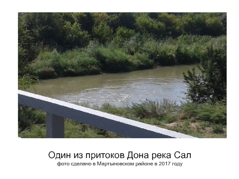 Один из притоков Дона река Сал  фото сделано в Мартыновском районе в 2017 году