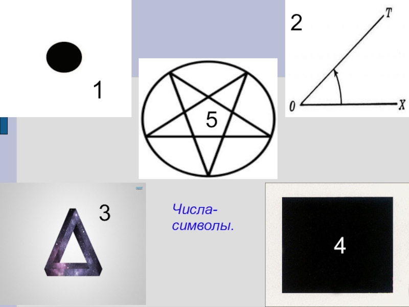 Миром правят числа проект