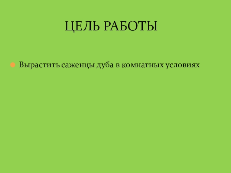 Доклад: Как вырастить саженцы деревьев в комнатных условиях