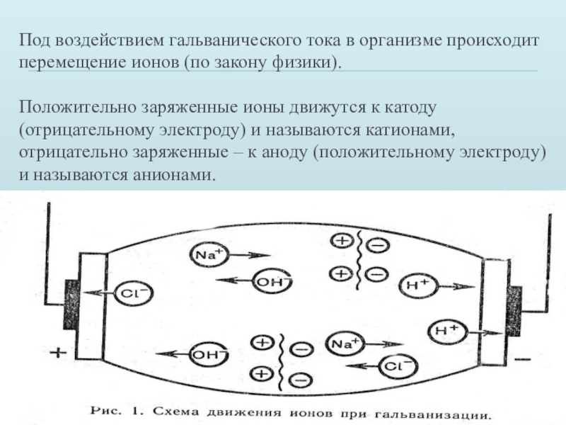 Презентация на тему гальванизация