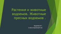 Презентация к уроку окружающий мир по теме :Растения и животные водоемов. Животные пресных водоемов . 2 класс