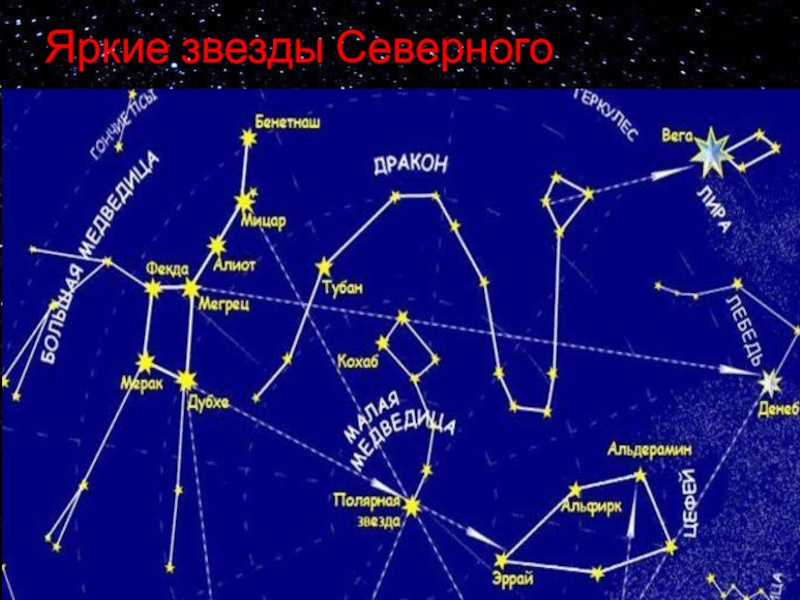 Созвездия примеры. Созвездия летнего неба Северного полушария. Карта звездного неба с названиями созвездий большая Медведица. Самые яркие звезды Северного полушария. Созвездия с яркими звездами.