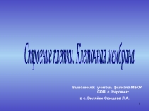 Презентация по биологии на тему Клетка - функциональная единица живого (9 класс)