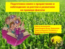 Презентация Подготовка семян к прорастанию и наблюдение за ростом и развитием на примере фасоли