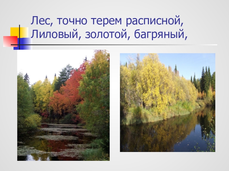 Лес точно терем. Лес точно Терем расписной лиловый золотой багряный. Бунин лес, точно Терем расписной, лиловый, золотой, багряный. Лес точно Терем расписной лиловый золотой багряный мнемотаблица.