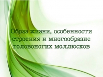 Презентация по биологии на тему Образ жизни, особенности строения и многообразие головоногих (8 класс)
