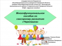 Многофункциональное пособие по сенсорному развитию Черепашка