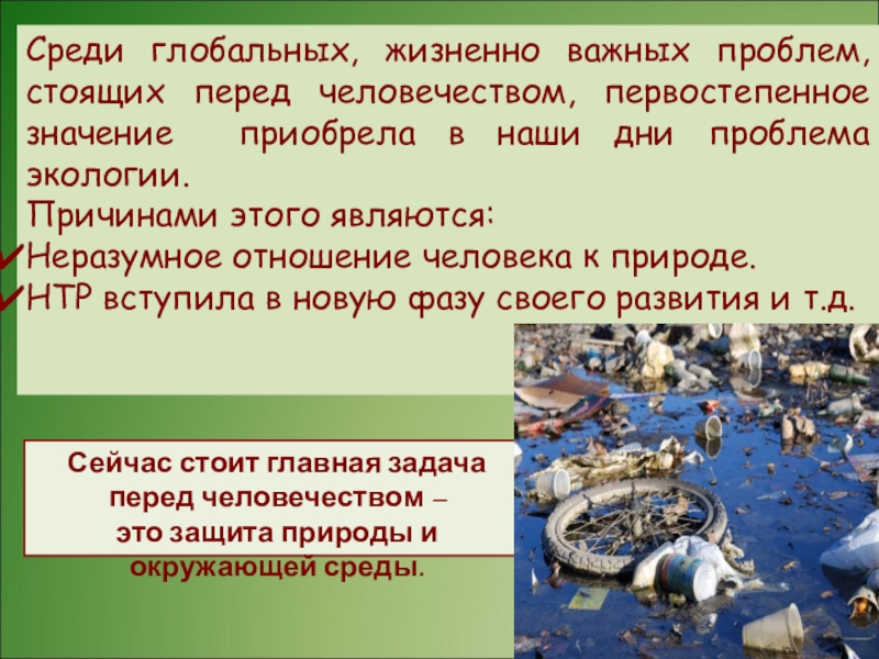 Почему экологические проблемы актуальны в современном мире