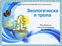 Презентация Экологическая тропа Любовь к Родине начинается с любви к природе