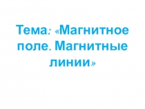 Презентация пофизике на тему:Магнитное поле