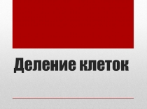 Презентация по биологии_Деление клетки