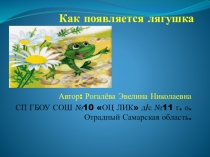 Дидактическая игра: Как появляется лягушка