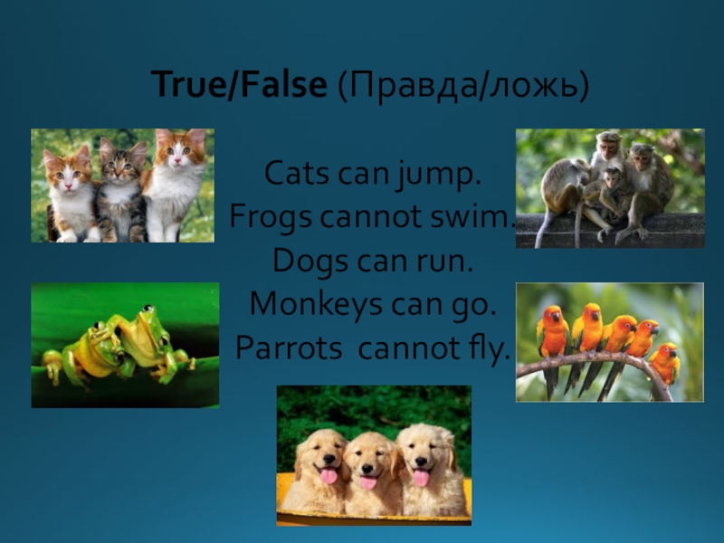 True/False (Правда/ложь)Cats can jump.Frogs cannot swim.Dogs can run.Monkeys can go.Parrots cannot fly.
