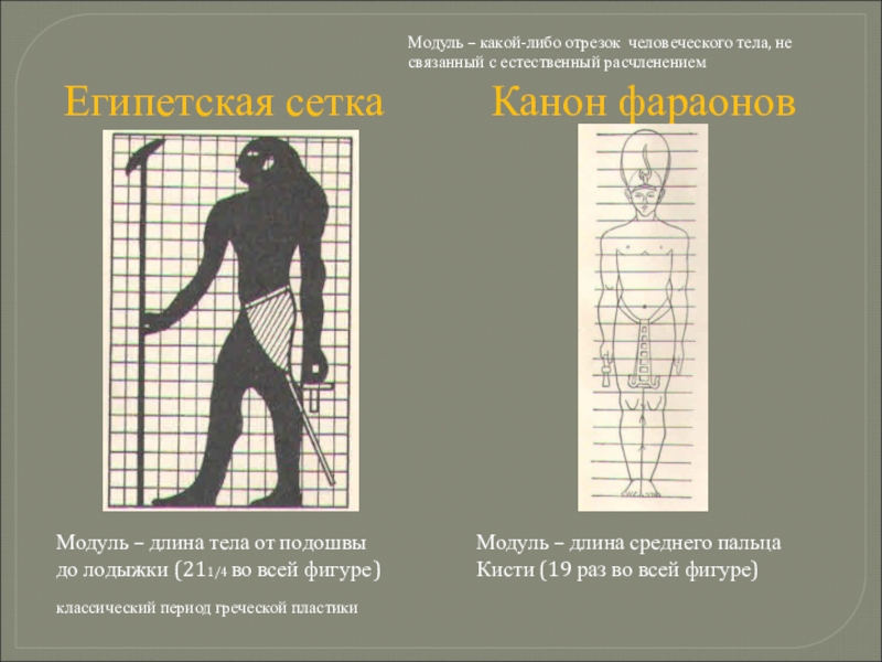 Модуль тела. Пропорции человеческого тело модуль. Сетка египтян. Динамика линий в человеческого тела. Египетская сетка масштаба.