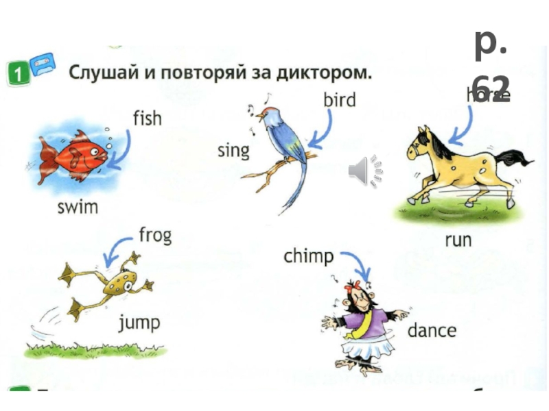 Wordwall spotlight. Животные спотлайт 2. Spotlight 2 животные. Spotlight 2 класс животные. Спотлайт 2 my animals.