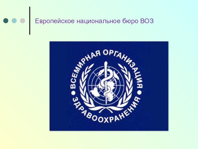 Национальное бюро. Бюро воз. Европейское бюро воз. Региональное бюро всемирной организации здравоохранения. Региональное бюро всемирной организации здравоохранения список.