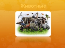 Презентация по окружающему миру на тему: Животные (3 класс)