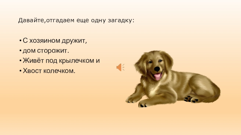 Давай в угадай. Живет под крылечком хвост колечком. С хозяином дружит дом сторожит живёт под крылечком а хвост колечком. Лежит под крылечком хвост колечком ответ. Загадка про хозяина.