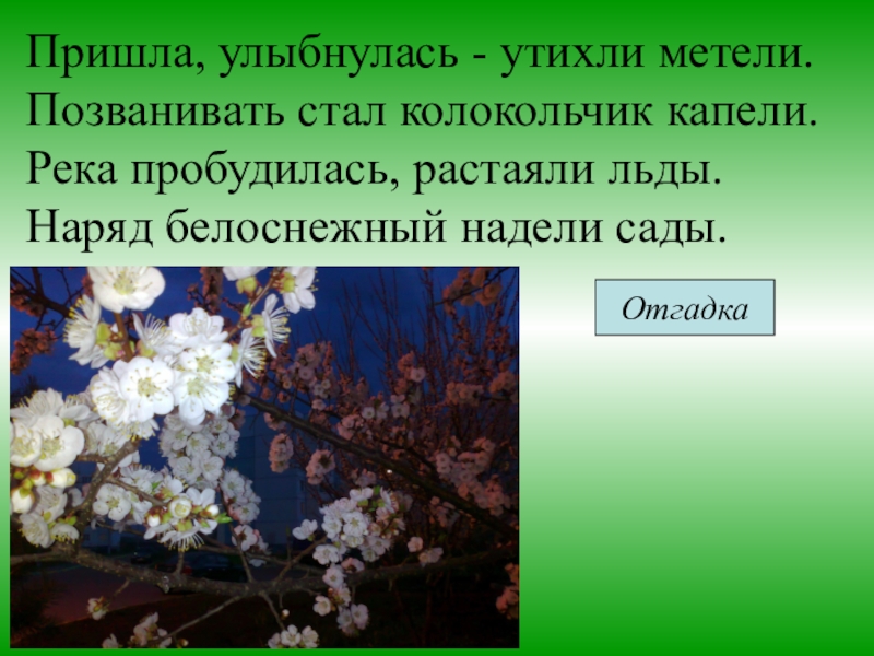 Улыбнулась пришла. Пришла улыбнулась утихли метели позванивать стал колокольчик капели. Пришла улыбнулась утихли метели. Пришла улыбнулась утихли метели загадка. Дневные цветы пробуждаются когда начинается.