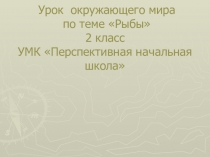 Презентация к уроку окружающего мира Рыбы