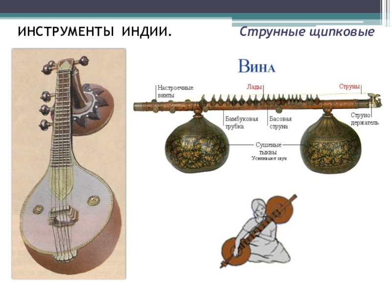 Струнный инструмент кроссворд. Индийский струнный инструмент. Щипковые инструменты. Индийские музыкальные инструменты. Струнные инструменты Индии.