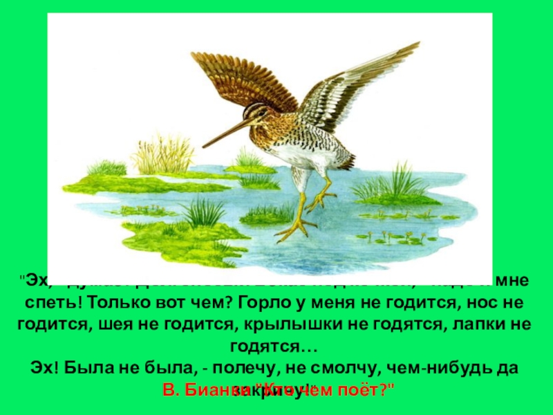 Кто чем поет суть. Бекас Долгонос Бианки. Бианки кто чем поет Бекас. Бекас под кочкой. Кто чем поёт Бианки иллюстрации Бекас.