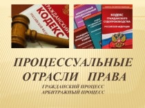Презентация по обществознанию Процессуальные отрасли права. Гражданский процесс. Арбитражный процесс.