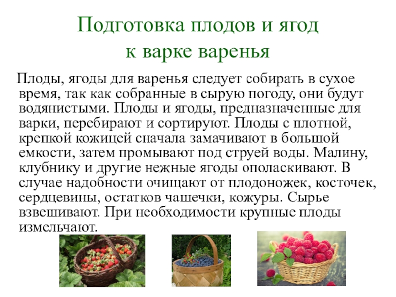 Заготовка продуктов впрок презентация сбо 8 класс