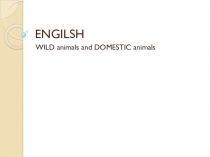 Презентация по английскому языку на тему Animals (1 класс)