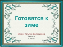 Презентация для индивидуальных занятий Готовятся к зиме