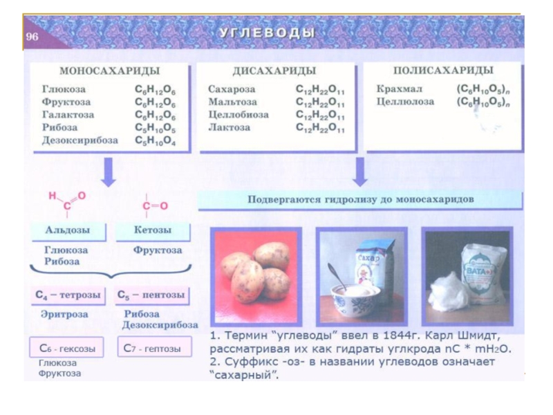 Презентация по химии дисахариды и полисахариды