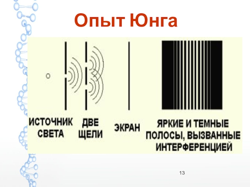 Опыт томаса юнга. Дифракция опыт Юнга. Опыт Юнга 1802. Опыт Юнга картинка. Опыт Томаса Юнга с двумя щелями.