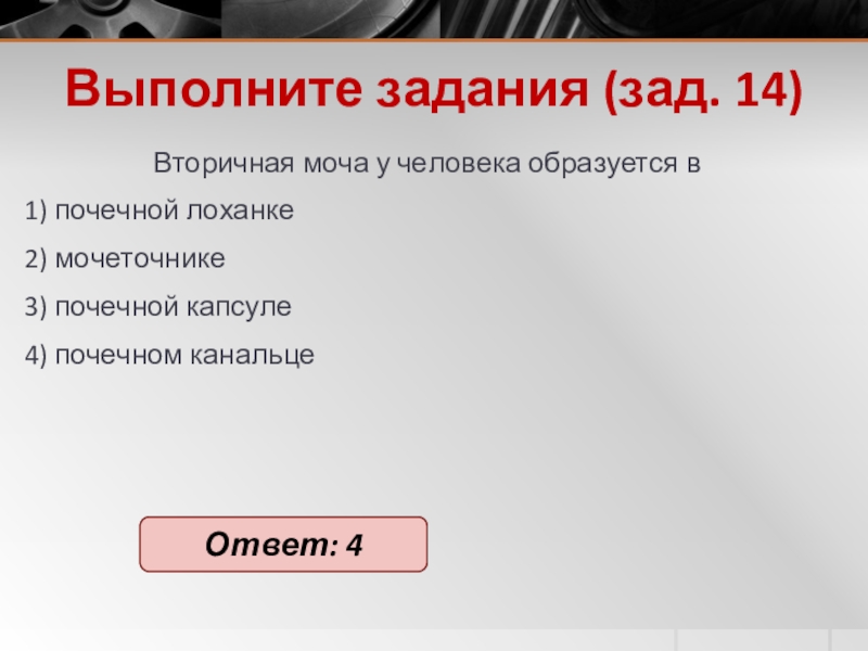 Выполните задания (зад. 14)Вто­рич­ная моча у че­ло­ве­ка об­ра­зу­ет­ся в 1) по­чеч­ной ло­хан­ке2) мо­че­точ­ни­ке3) по­чеч­ной кап­су­ле4) по­чеч­ном ка­наль­цеОтвет: 4