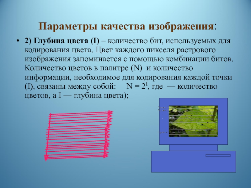 Запоминают размер изображения битовую глубину и цвет каждого пикселя