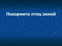 Презентация по окружающему миру в старшей группе Покормите птиц