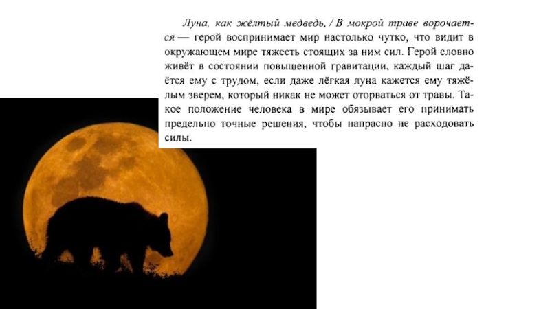 Луна как желтый медведь. Луна как желтый медведь как вы понимаете. Как медведи на Луне. Луна как желтый медведь в мокрой траве ворочается.