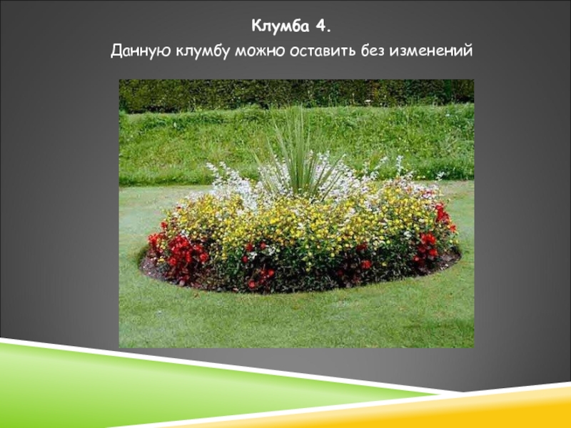 Проект клумба 7 класс