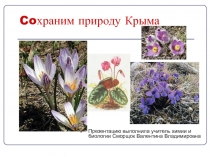 Презентация о некоторых охраняемых растениях и животных Крыма.