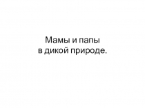 Презентация по биологии по теме Млекопитающие