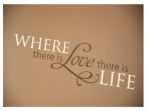 There is there are