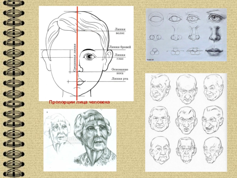 Мудрость старости презентация по изо 4 класс поэтапное рисование