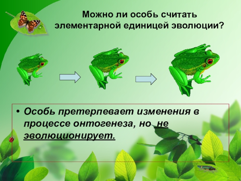 Обобщающий урок по теме эволюция 11 класс презентация